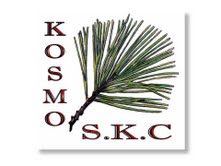 Logo___Kosmo_SKC___Tracey.jpg
