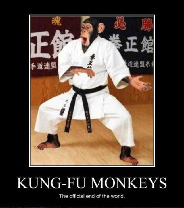 Martial Arts Posters With Quotes. QuotesGram