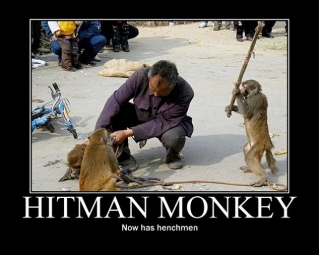 hitman_monkey_640x512.jpg
